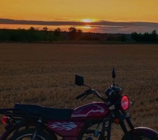 Мустанг Інша, об'ємом двигуна 0.13 л та пробігом 0 тис. км за 592 $, фото 1 на Automoto.ua