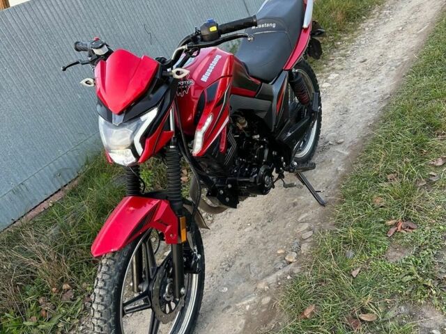 Мустанг Інша 2024 у Чернівцях на Automoto.ua Мустанг Інша, об'ємом двигуна 0.2 л та пробігом 0 тис. км за 800 $, фото 13 на Automoto.ua