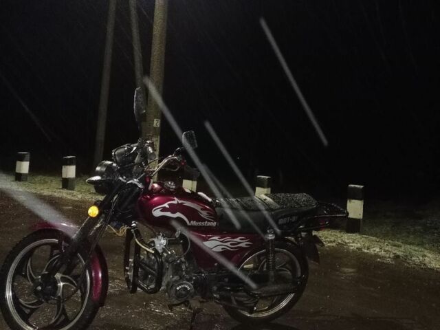 Мустанг Інша, об'ємом двигуна 0.13 л та пробігом 0 тис. км за 592 $, фото 2 на Automoto.ua