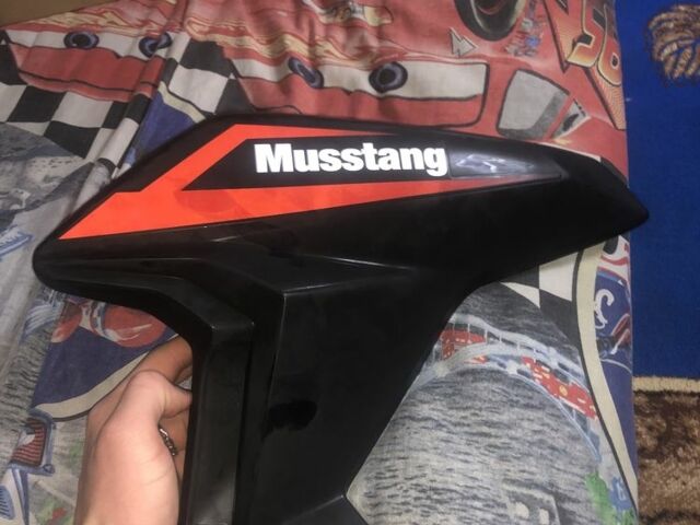 Мустанг Другая, объемом двигателя 0.22 л и пробегом 0 тыс. км за 30 $, фото 1 на Automoto.ua