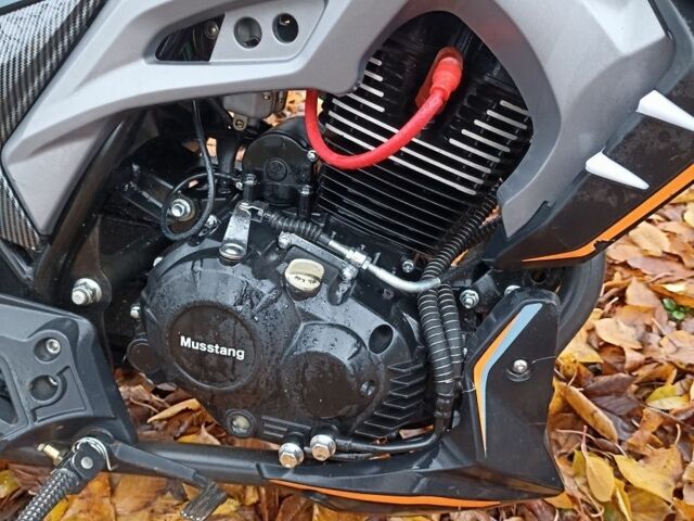 Мустанг Другая, объемом двигателя 0.2 л и пробегом 0 тыс. км за 1000 $, фото 10 на Automoto.ua