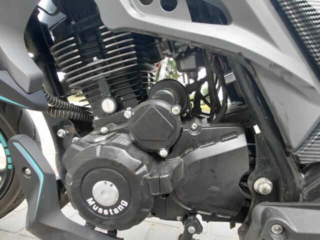 Мустанг Другая, объемом двигателя 0.2 л и пробегом 0 тыс. км за 950 $, фото 6 на Automoto.ua