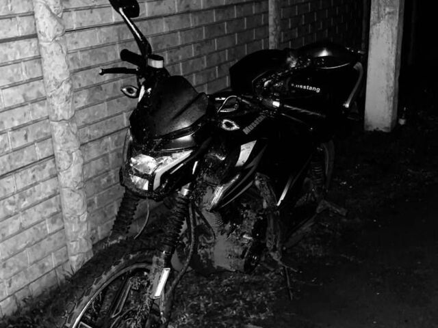 Мустанг Другая, объемом двигателя 0.2 л и пробегом 0 тыс. км за 592 $, фото 1 на Automoto.ua