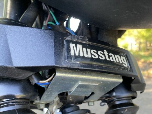 Мустанг Інша 2024 у Черкасах на Automoto.ua Мустанг Інша, об'ємом двигуна 0.12 л та пробігом 0 тис. км за 643 $, фото 4 на Automoto.ua