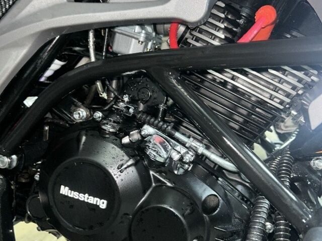 Мустанг Другая, объемом двигателя 0.2 л и пробегом 0 тыс. км за 1002 $, фото 4 на Automoto.ua