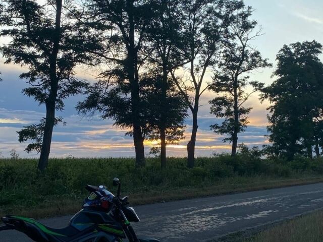 Мустанг Другая, объемом двигателя 0.2 л и пробегом 0 тыс. км за 946 $, фото 3 на Automoto.ua