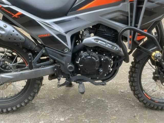 Мустанг Інша 2025 у Сарнах на Automoto.ua Мустанг Інша, об'ємом двигуна 0.25 л та пробігом 0 тис. км за 1600 $, фото 3 на Automoto.ua