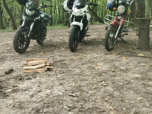 Мустанг Інша, об'ємом двигуна 0.11 л та пробігом 0 тис. км за 237 $, фото 2 на Automoto.ua