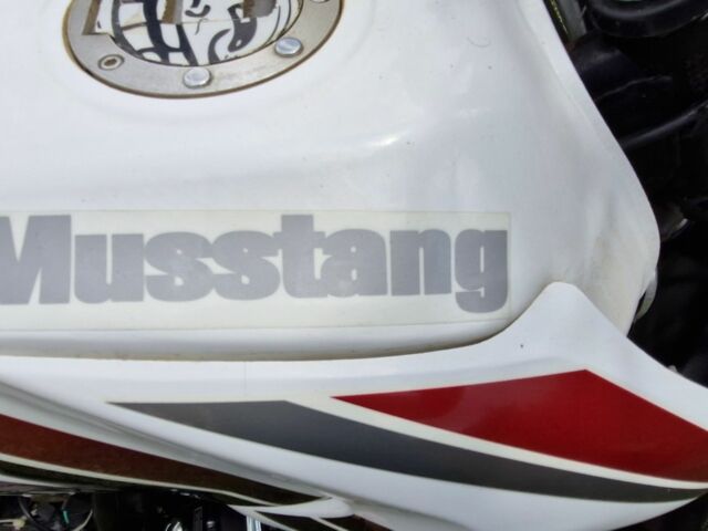 Мустанг Інша, об'ємом двигуна 0.2 л та пробігом 0 тис. км за 900 $, фото 23 на Automoto.ua