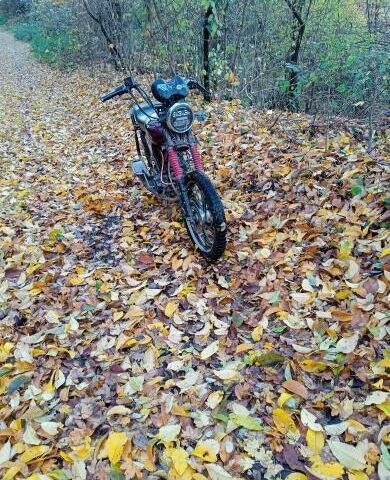 Мустанг Інша, об'ємом двигуна 0.13 л та пробігом 0 тис. км за 403 $, фото 1 на Automoto.ua