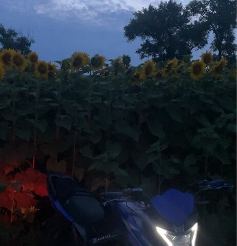 Мустанг Другая, объемом двигателя 0.2 л и пробегом 0 тыс. км за 786 $, фото 5 на Automoto.ua