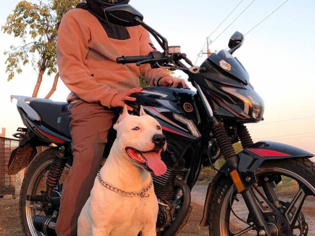 Мустанг Інша, об'ємом двигуна 0.15 л та пробігом 0 тис. км за 594 $, фото 2 на Automoto.ua