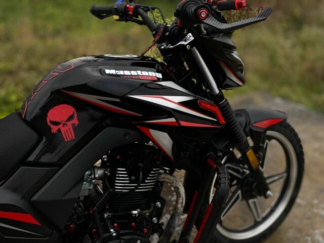 Мустанг Інша, об'ємом двигуна 0.2 л та пробігом 0 тис. км за 950 $, фото 4 на Automoto.ua