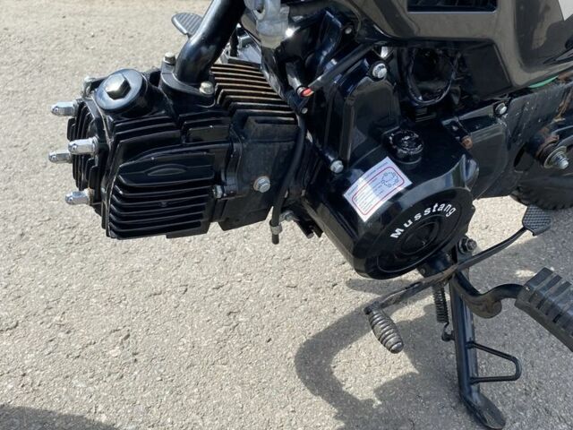 Мустанг Другая, объемом двигателя 0.11 л и пробегом 0 тыс. км за 529 $, фото 3 на Automoto.ua