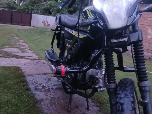Мустанг Інша, об'ємом двигуна 0.13 л та пробігом 0 тис. км за 18500 $, фото 5 на Automoto.ua