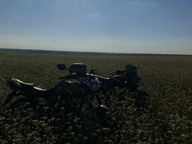 Мустанг Інша, об'ємом двигуна 0.14 л та пробігом 0 тис. км за 358 $, фото 1 на Automoto.ua