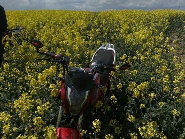 Мустанг Інша, об'ємом двигуна 0.2 л та пробігом 0 тис. км за 750 $, фото 1 на Automoto.ua