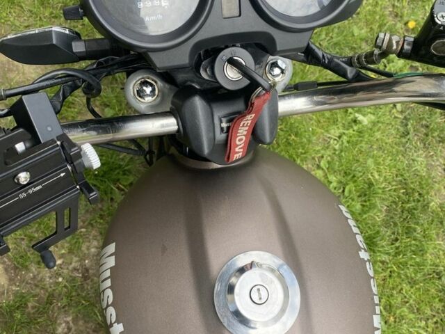 Мустанг Другая, объемом двигателя 0.13 л и пробегом 0 тыс. км за 381 $, фото 11 на Automoto.ua