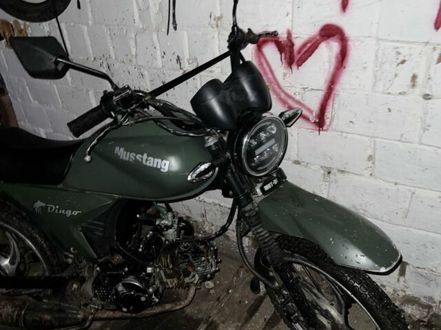 Мустанг Інша, об'ємом двигуна 0 л та пробігом 0 тис. км за 238 $, фото 6 на Automoto.ua