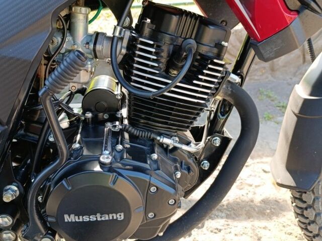 Мустанг Другая, объемом двигателя 0.2 л и пробегом 0 тыс. км за 850 $, фото 4 на Automoto.ua