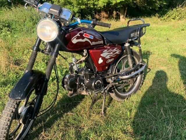 Мустанг Інша, об'ємом двигуна 0.13 л та пробігом 0 тис. км за 15000 $, фото 3 на Automoto.ua