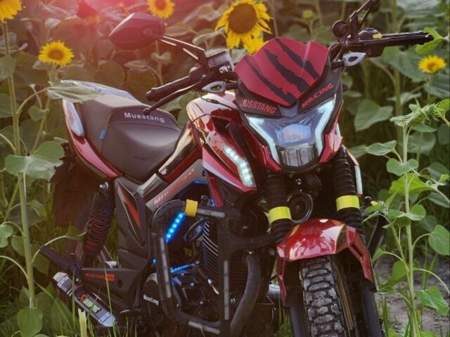 Мустанг Другая, объемом двигателя 0.2 л и пробегом 0 тыс. км за 1000 $, фото 4 на Automoto.ua