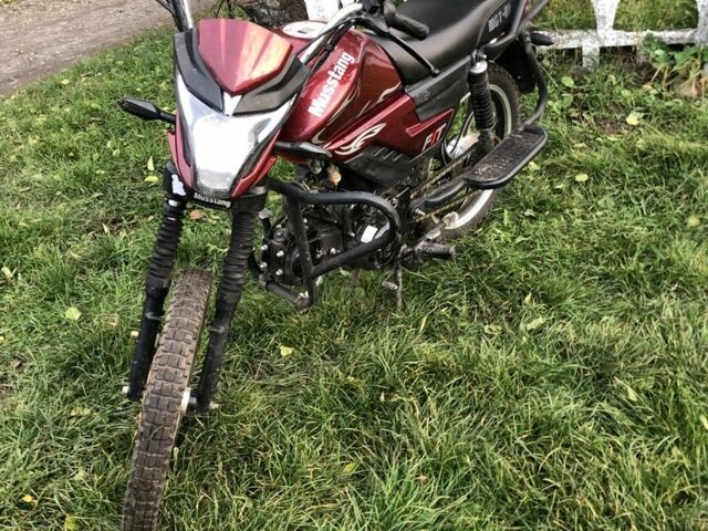 Мустанг Другая, объемом двигателя 0.13 л и пробегом 0 тыс. км за 515 $, фото 7 на Automoto.ua