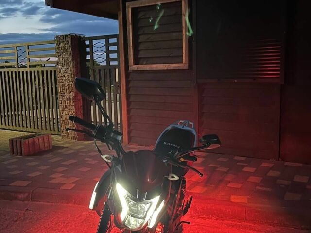 Мустанг Другая, объемом двигателя 0.2 л и пробегом 0 тыс. км за 888 $, фото 5 на Automoto.ua