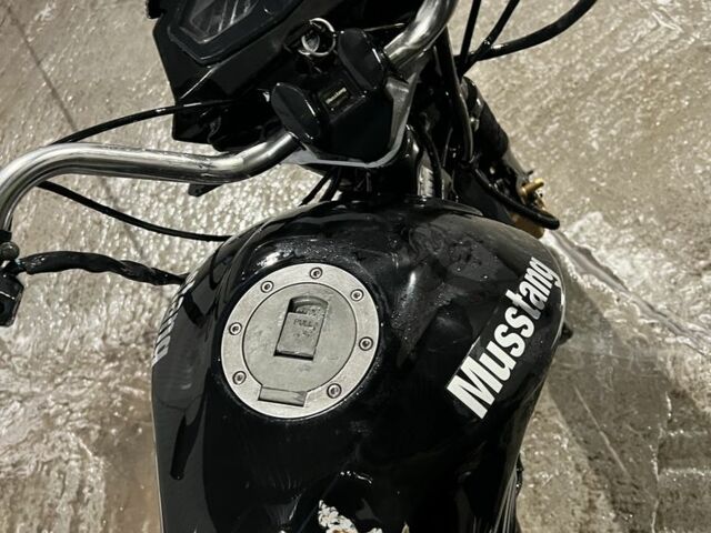 Мустанг Інша, об'ємом двигуна 0.13 л та пробігом 0 тис. км за 359 $, фото 7 на Automoto.ua