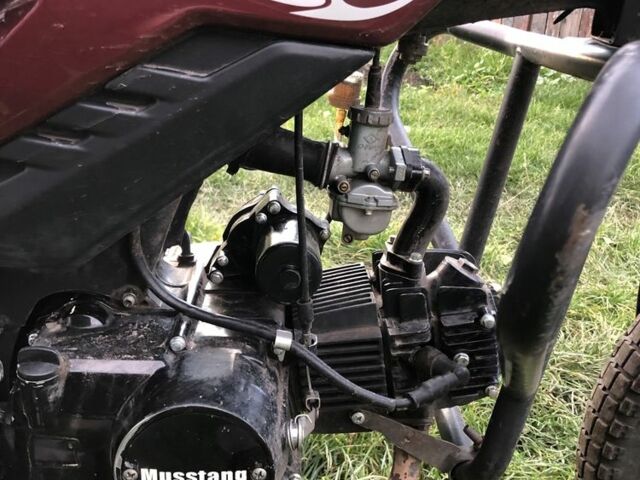 Мустанг Другая, объемом двигателя 0.13 л и пробегом 0 тыс. км за 515 $, фото 5 на Automoto.ua