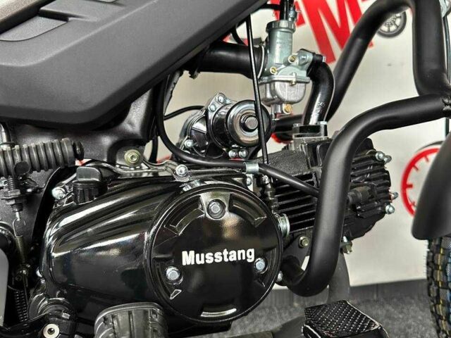 Мустанг Інша, об'ємом двигуна 0 л та пробігом 0 тис. км за 810 $, фото 6 на Automoto.ua