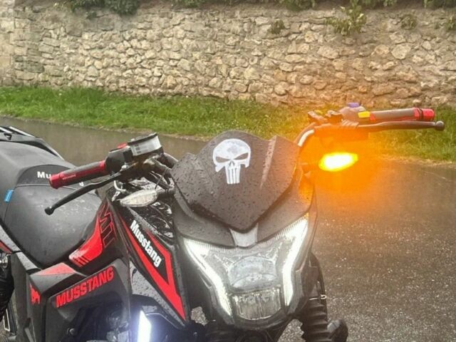 Мустанг Другая 2024 в Одессе на Automoto.ua Мустанг Другая, объемом двигателя 0.25 л и пробегом 0 тыс. км за 547 $, фото 4 на Automoto.ua