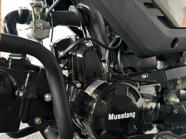 Мустанг Інша, об'ємом двигуна 0 л та пробігом 0 тис. км за 810 $, фото 7 на Automoto.ua