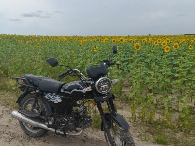 Мустанг Другая 2024 в Сарнах на Automoto.ua Мустанг Другая, объемом двигателя 0.13 л и пробегом 0 тыс. км за 500 $, фото 5 на Automoto.ua