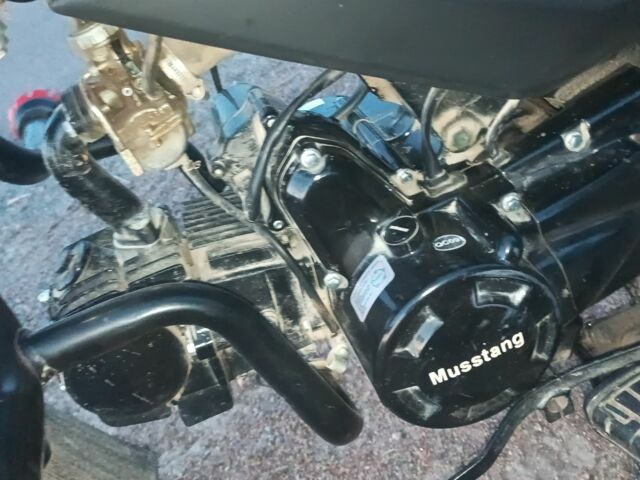 Мустанг Другая 2024 в Коростене на Automoto.ua Мустанг Другая, объемом двигателя 0.12 л и пробегом 0 тыс. км за 606 $, фото 2 на Automoto.ua