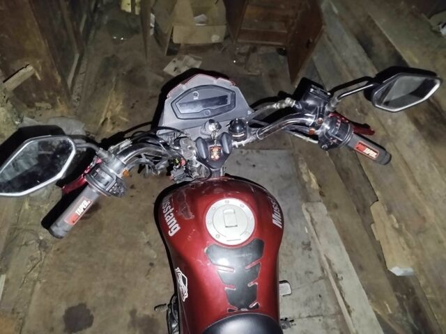 Мустанг Інша, об'ємом двигуна 0.13 л та пробігом 0 тис. км за 467 $, фото 2 на Automoto.ua