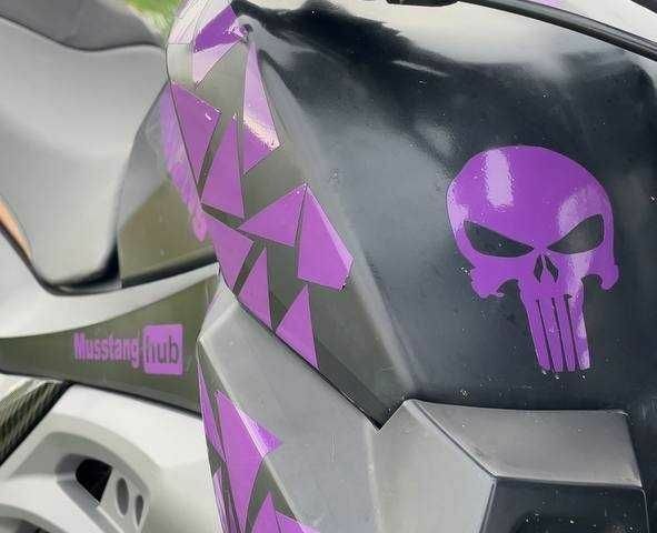 Мустанг Інша, об'ємом двигуна 0.2 л та пробігом 0 тис. км за 43000 $, фото 6 на Automoto.ua