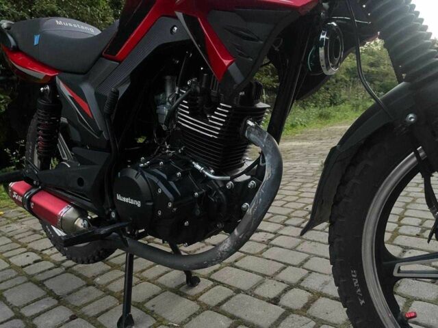 Мустанг Другая, объемом двигателя 0.2 л и пробегом 0 тыс. км за 920 $, фото 3 на Automoto.ua