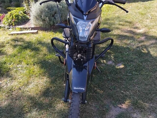 Мустанг Другая, объемом двигателя 0.12 л и пробегом 0 тыс. км за 381 $, фото 2 на Automoto.ua