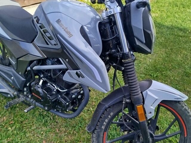 Мустанг Другая, объемом двигателя 0.25 л и пробегом 0 тыс. км за 1200 $, фото 3 на Automoto.ua