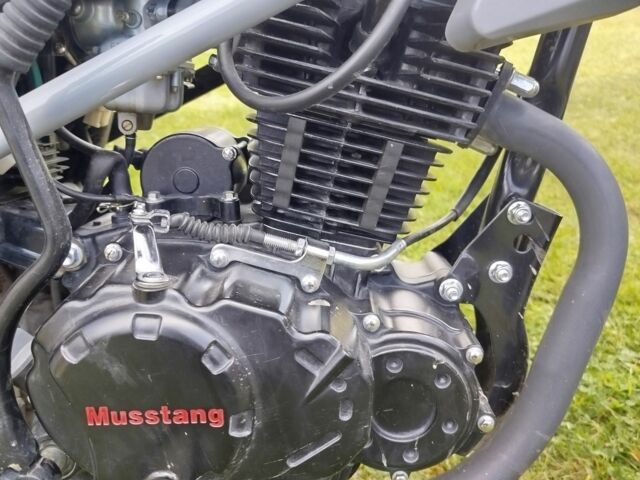 Мустанг Другая, объемом двигателя 0.25 л и пробегом 0 тыс. км за 1200 $, фото 4 на Automoto.ua