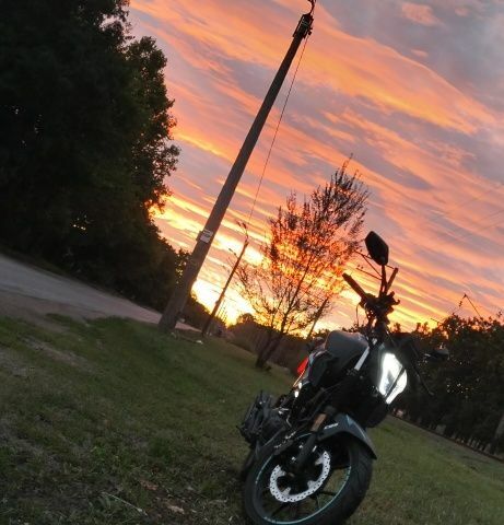 Мустанг Другая 2025 в Одессе на Automoto.ua Мустанг Другая, объемом двигателя 0.2 л и пробегом 0 тыс. км за 1205 $, фото 2 на Automoto.ua