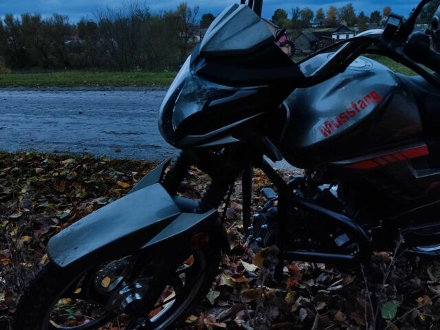 Сірий Мустанг Інша, об'ємом двигуна 0.1 л та пробігом 0 тис. км за 618 $, фото 3 на Automoto.ua