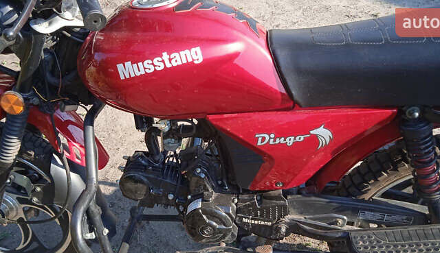 Мустанг МТ125 (Dingo), об'ємом двигуна 0 л та пробігом 6 тис. км за 455 $, фото 9 на Automoto.ua