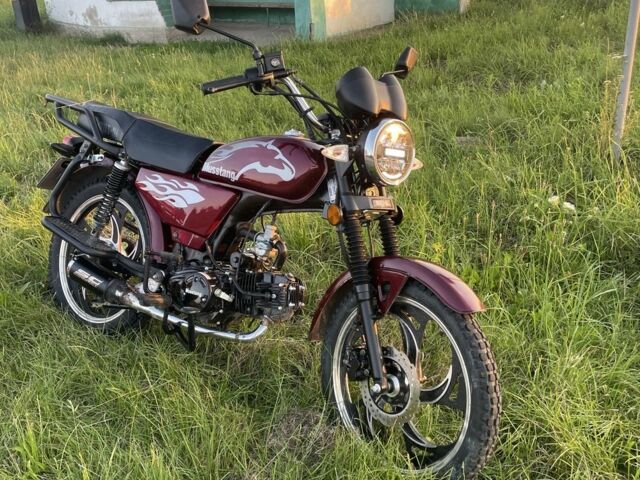 Мустанг MT 125-2, объемом двигателя 0.13 л и пробегом 0 тыс. км за 520 $, фото 3 на Automoto.ua