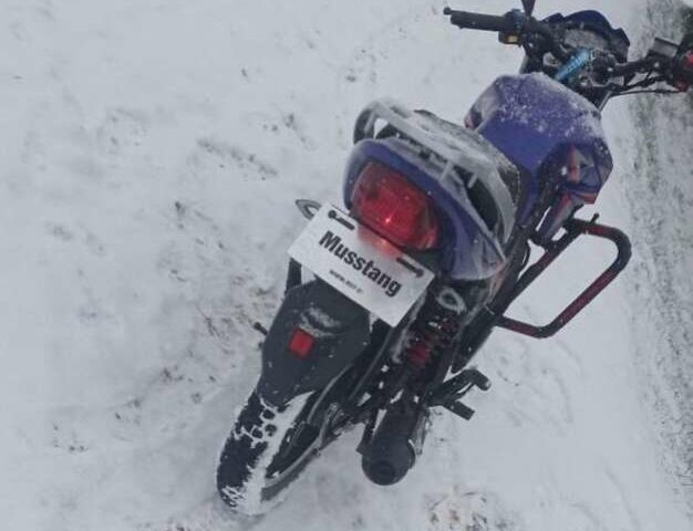 Синий Мустанг MT 200-7, объемом двигателя 0.02 л и пробегом 2 тыс. км за 1000 $, фото 1 на Automoto.ua