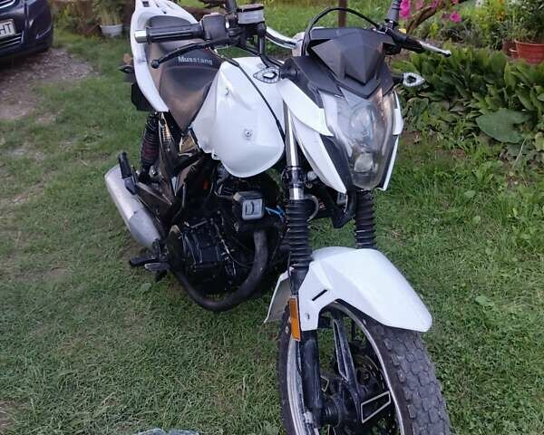 Мустанг MT 200 Region, объемом двигателя 0.2 л и пробегом 2 тыс. км за 750 $, фото 1 на Automoto.ua