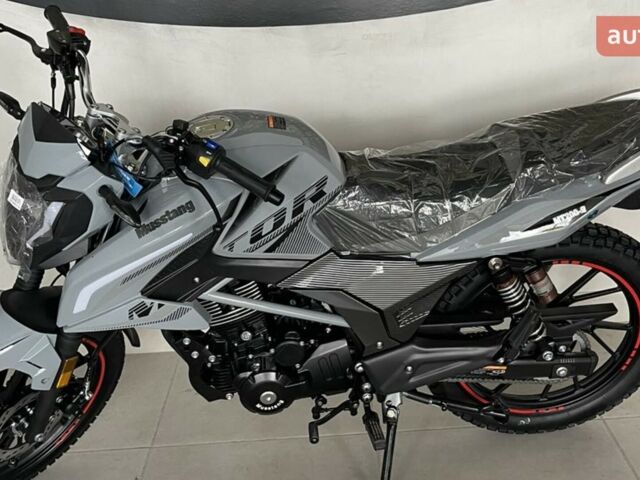 купить новое авто Мустанг MT 200 Region 2025 года от официального дилера MotoHub Мустанг фото