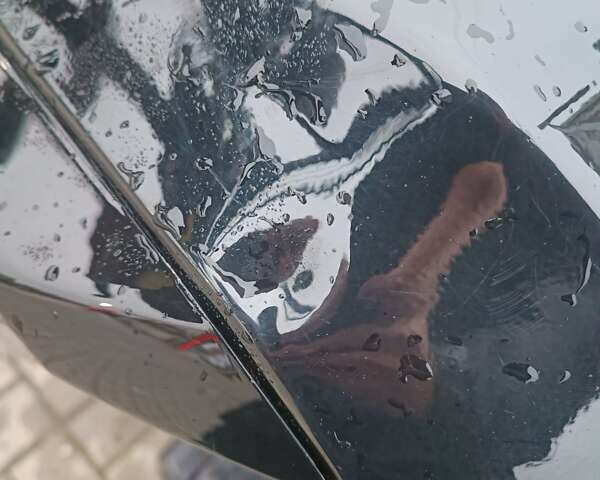 Черный Мустанг MT 250 Region, объемом двигателя 0.22 л и пробегом 5 тыс. км за 950 $, фото 12 на Automoto.ua