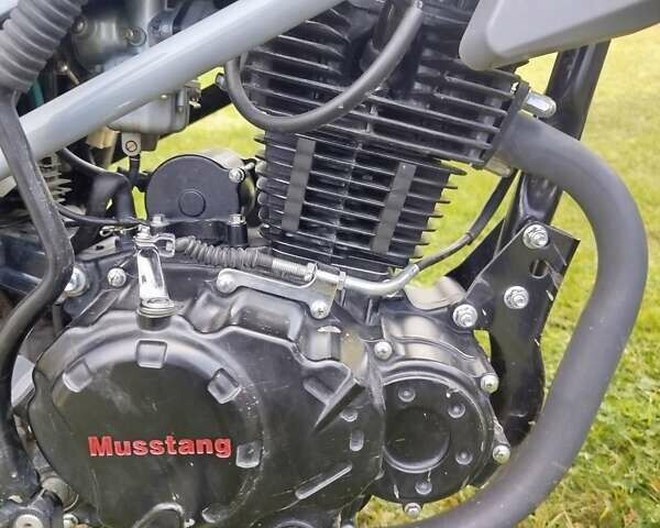 Мустанг MT 250 Region, объемом двигателя 0 л и пробегом 2 тыс. км за 1150 $, фото 8 на Automoto.ua